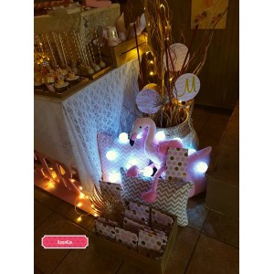 Flamingo gold 5